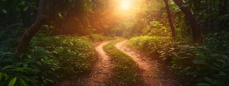 a dramatic fork-in-the-road surrounded by lush greenery, where one path leads to a vibrant sunrise symbolizing opportunity, and the other descends into shadow, representing the complexities of investment treaties.