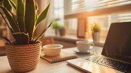 Cozy financial planning workspace with laptop and coffee, symbolizing asset protection